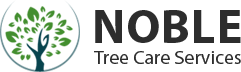 Noble Tree Care